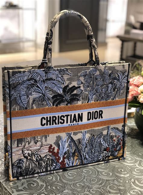 dior handbag paris